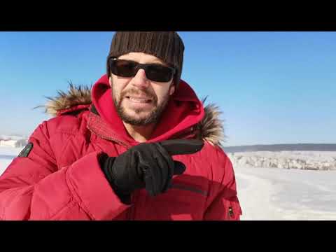 Die Entscheidungsfindungsstörung