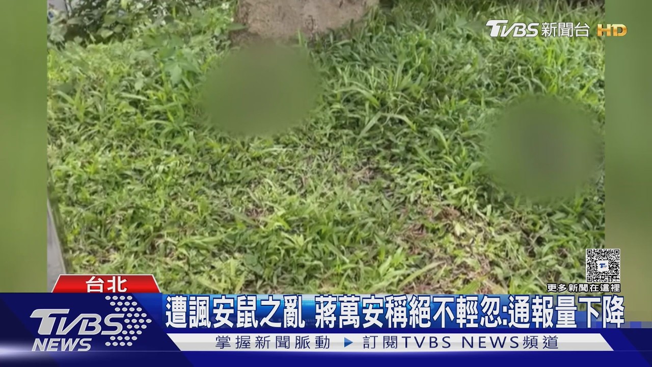 影音/ 遭諷安鼠之亂!蔣萬安稱絕不輕忽:通報量已降 林亮君轟自我感覺良好