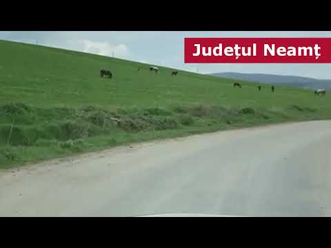 Vaslui, vai de capul lui!