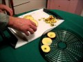 How To Dehydrate Fruit and Vegetables 