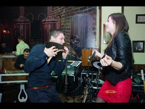 RD Orchestra - Muzica Populara 2016 - Formatie nunta Bacau Bucuresti Iasi Constanta