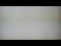 Opening To Las Aventuras De Winnie Pooh Vhs 1997