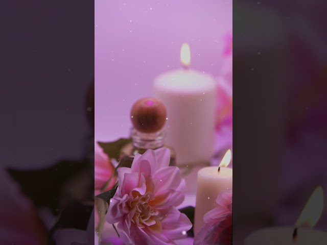 FLOWERS PERFUME– عطر فلورز الأنوثة الراقية جاذبية تبدأ