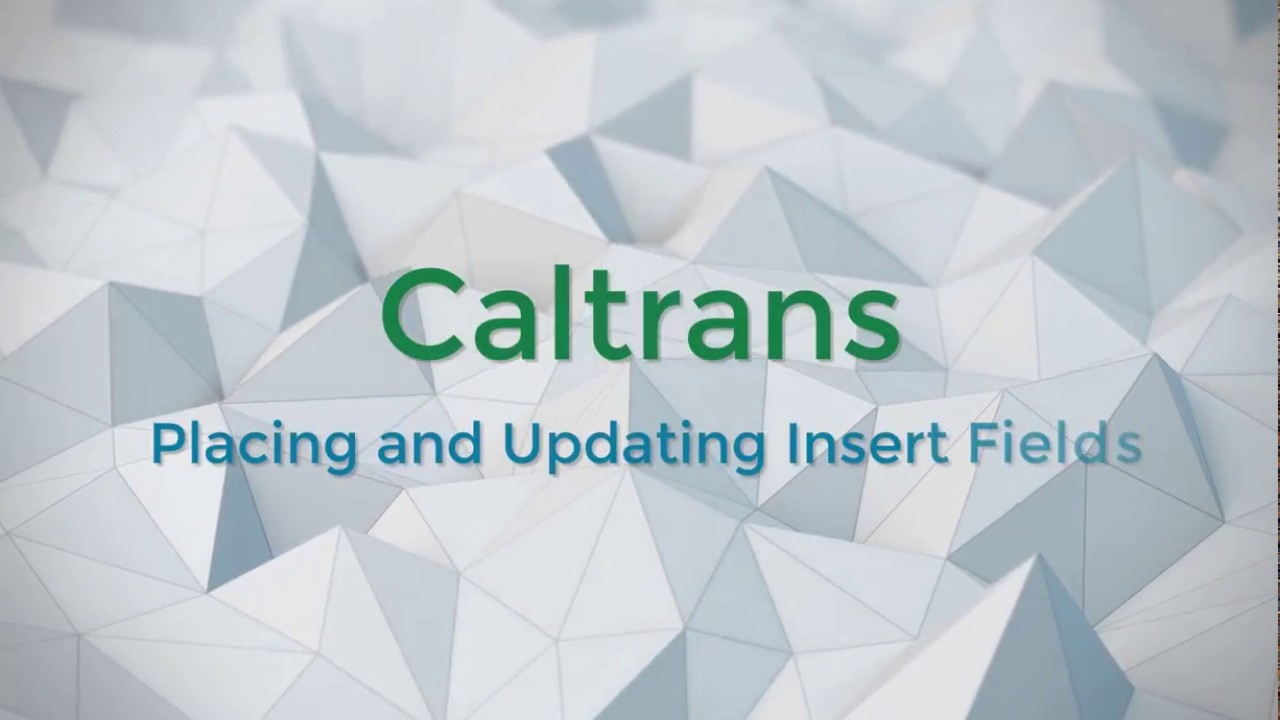 Placing and Updating Insert Fields
