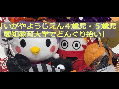 【愛知教育大学】子どもキャンパスプロジェクト「井ケ谷幼児園児」愛知教育大学でどんぐり拾い