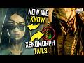 PREDATOR Killer Of Killers 2025 Breakdown Ending Explained Easter Eggs Credits Scene Review