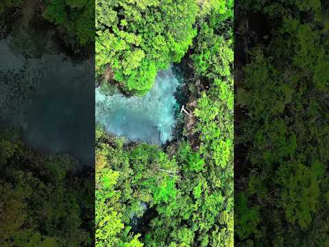 El Mantial Las Cruces Petén #guatemala #mavic4pro #petén #pilotodedrone #parati