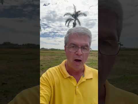 FAZENDA A VENDA NO MUNICÍPIO DE JAUPACI NO ESTADO DE GOIÁS