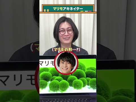 【マリモ】アキネイター #QuizKnockと学ぼう #Shorts