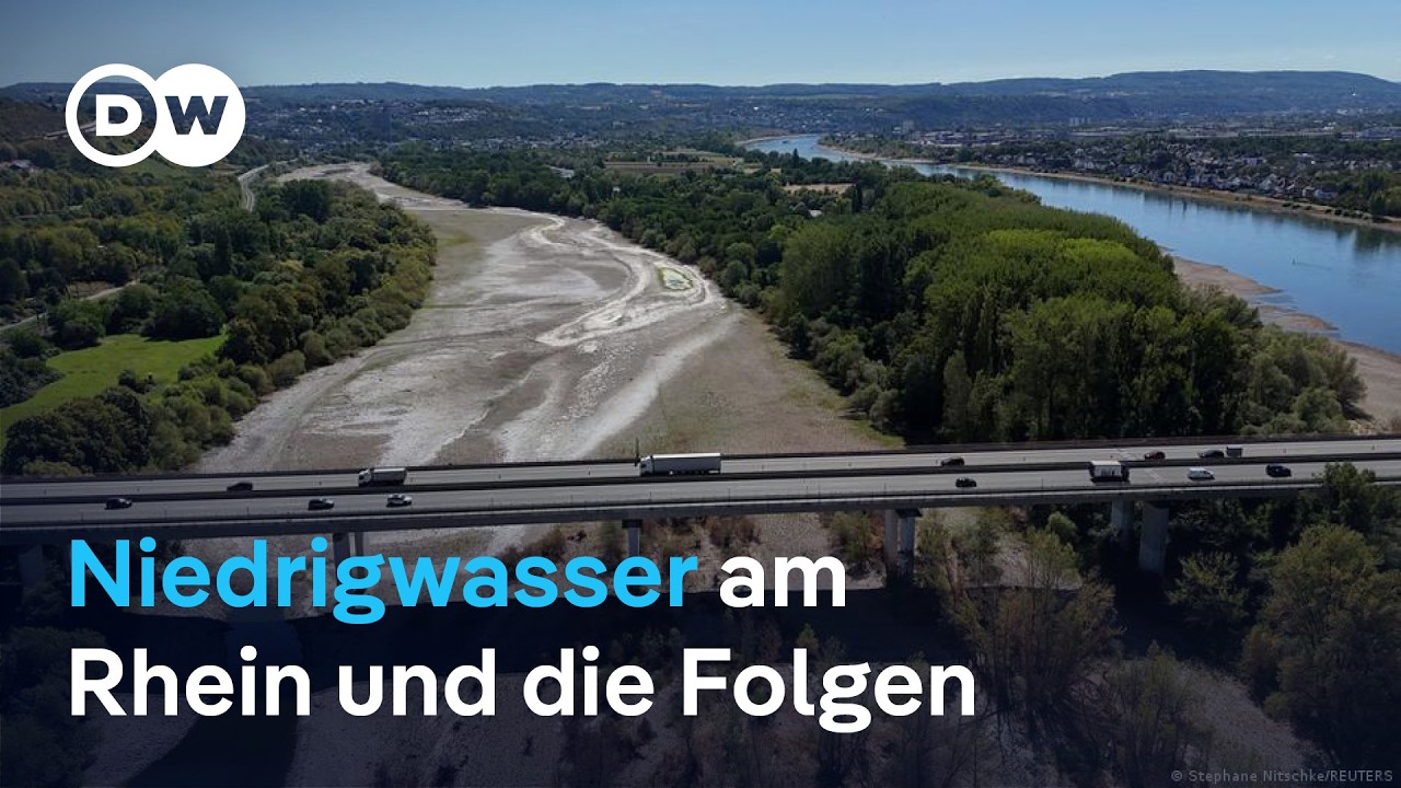 Niedrigwasser am Rhein belastet Deutschlands Industrie