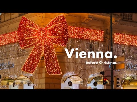 Vienna vlog | a cozy November day before the Christmas Markets