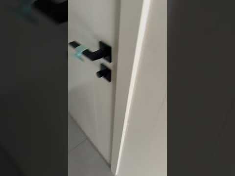 kitten funny video #petshub #cat #kittenlove #kittensofinstagram #kittenshorts #catvideos #catshorts