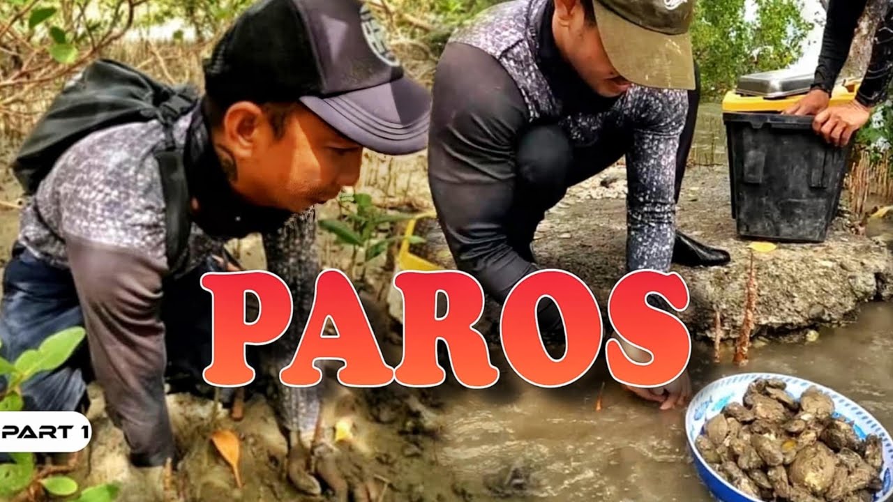 P1 - Paros Para sa Tanghalian - EP1719