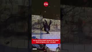 אופס: שב״ח שניסה לחצות הלילה את גדר המערכת - נלכד בין שמיים לארץ (חדשות ערוץ 14) - התמונה מוצגת ישירות מתוך אתר האינטרנט יוטיוב. זכויות היוצרים בתמונה שייכות ליוצרה. קישור קרדיט למקור התוכן נמצא בתוך דף הסרטון