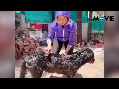 Urmila Matondkar Gives Her Dog A Shower | Moviekeeda