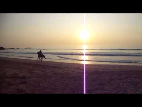 Gentleman Gipsy - Al galoppo sulla spiaggia di Imourane_3