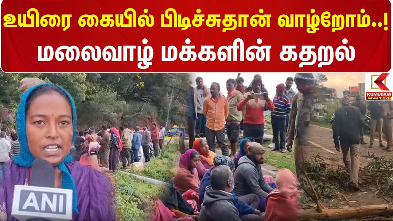 உயிரை கையில் பிடிச்சுதான் வாழ்றோம்..! மலைவாழ் மக்களின் கதறல் | Mountain People | Kumudam News