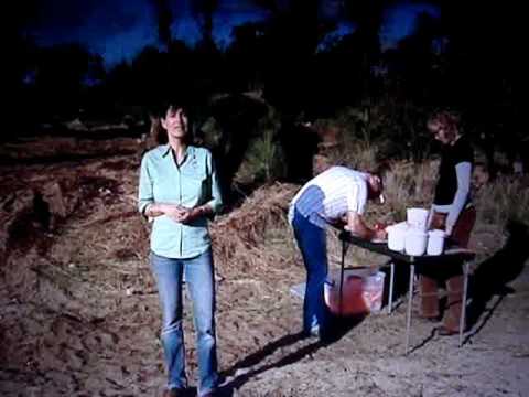 grass tree salvage site 0001