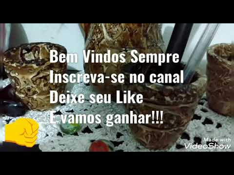 Palpites p Jogos do Bicho. 30/10/20. Sorte a Todos