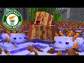 I Got 2000 Of The Rarest Axolotl In Minecraft