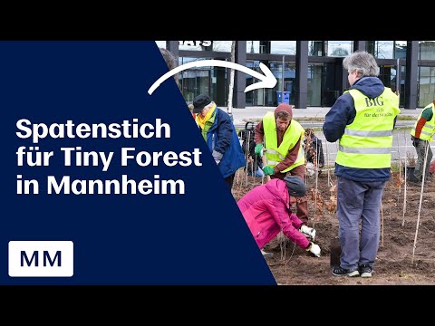 Spatenstich für den ersten Tiny Forest in Mannheim