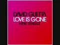 DAVID GUETTA-LOVE IS GONE ( VERSION ...