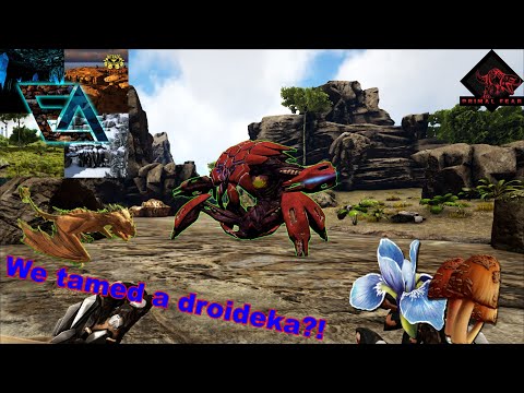 This tame is basically a droideka! Primal Fear Ebenus Astrum Episode 9
