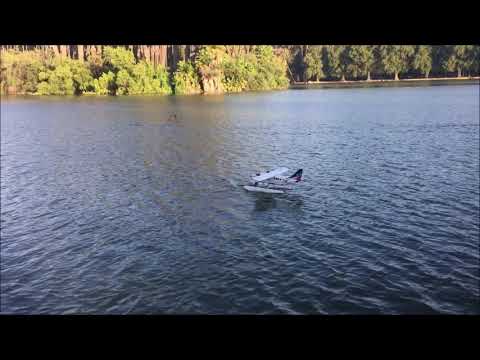 jimmy39s-bushmule-at-the-lake-yt
