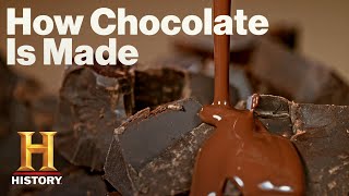 Modern Marvels: The Art of Chocolate Making (From Bean to Bar!) (Season 18) | History