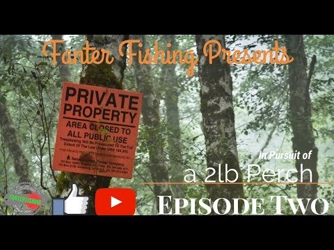 FANTER FISHING - Episode Two - Pursuit Of A 2lb Perch "SECRET POOL" River Stour Suffolk & Rig Talk