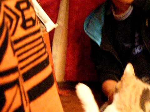 La Esclava Isaura y Don Miguel