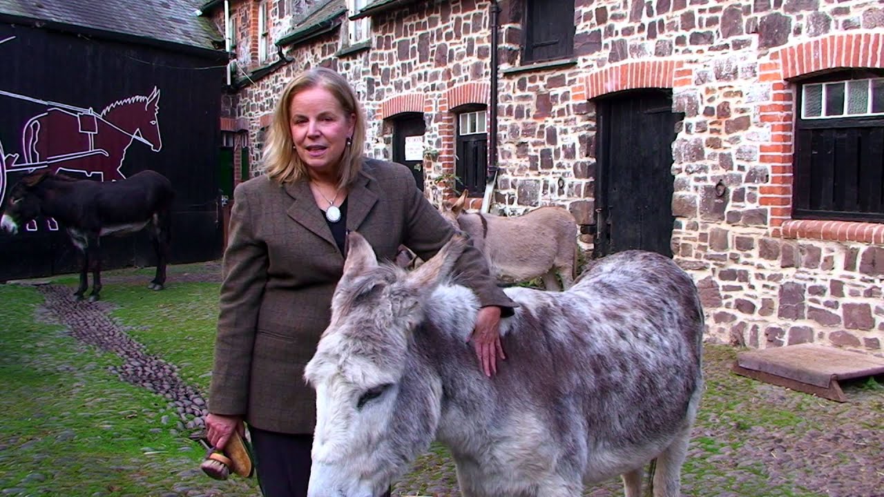Clovelly Village Tour