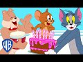 Tom Jerry Jerry S Big Party WB Kids