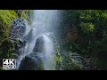 Waterfall in the Forest /Stock Video-Naturel/4K