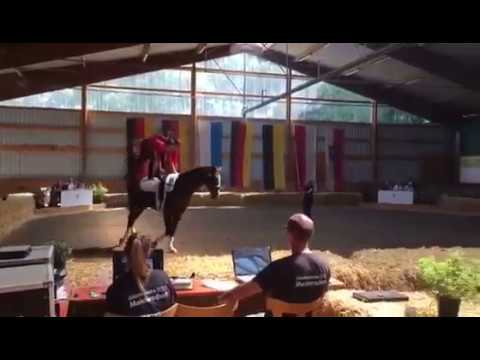 Voltigieren Wildenburg - Doppelvoltigiern (CindyLu Theis & Lara Gerstenschläger) SDM 2017