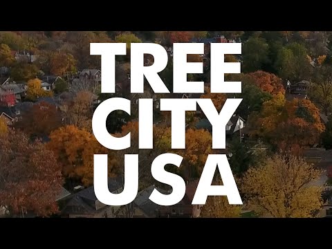 What is Tree City USA?