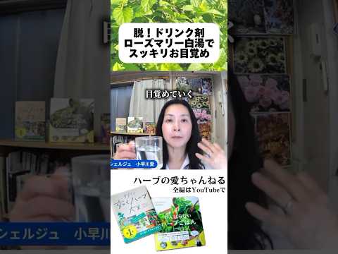 医療ビジネス薬科学科 🌿脱！ドリンク剤 ローズマリー白湯でスッキリお目覚め🌿 #shorts #ハーブ #体質改善