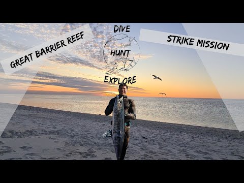 BLUE WATER SPEARFISHING (Southern Great Barrier Reef)