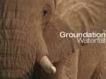 Groundation - Waterfall