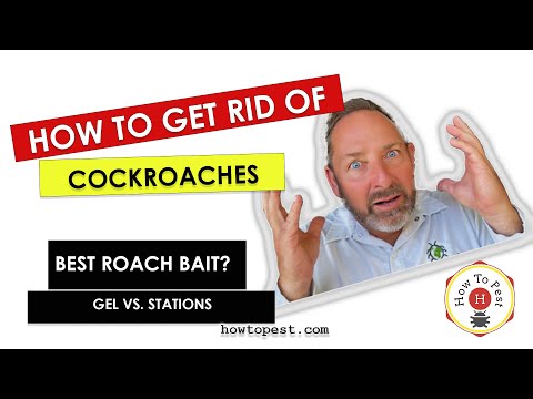 Ultimate Guide to Roach Baits: Choose the Right Cockroach Bait That Works
