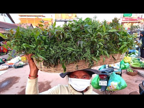 Natural Fresh Vegetable, Fresh Market Scene, Life in Cambodia, Everyday life, Cambodia Farmers