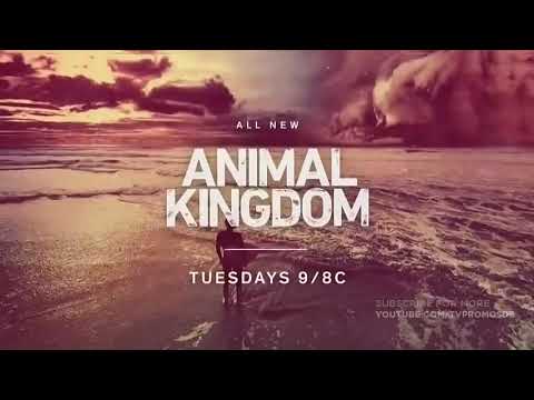 ANIMAL KINGDOM 3x11 - JACKPOT
