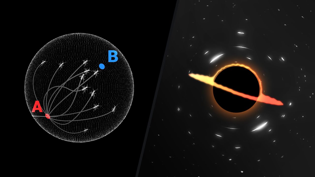 Geodesics and Relativity