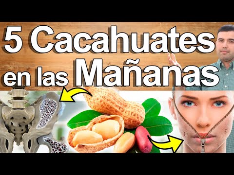 5 Maní En Las Mañanas - Beneficios Del Cacahuate - Para Qué Sirve Y Contraindicaciones Para Tu Salud