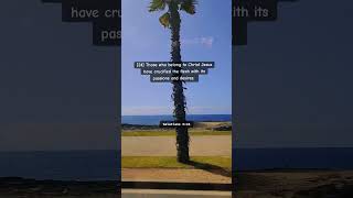 Download lagu 456] Galatians 5:24 #bible #travel #lord #todaysverse #viralvideo #verseoftheday #verse #Namsheestv mp3