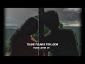 ️DIL IBADAT 4k LYRIC STATUS MUSIC LOVER 2M