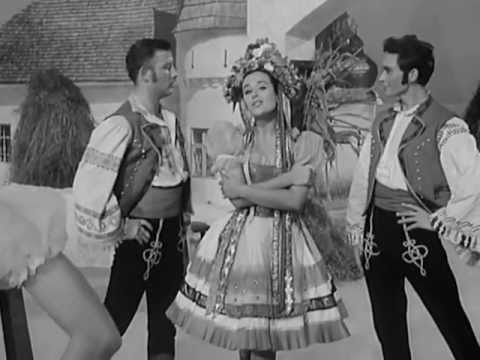 Ingeborg Hallstein: Die Fledermaus