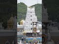 18 Siddhars Konganar Tirupati 18siddhars Muthuaachi Shorts Siddar