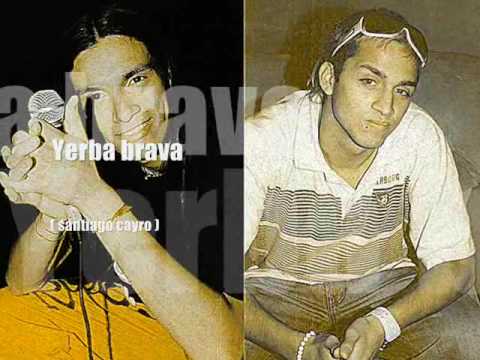 Yerba brava y junior alejate