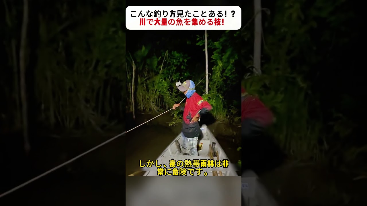 こんな釣り方見たことある！？ 川で大量の魚を集める技！ #釣り #川釣り #熱帯雨林 #巨大魚 #釣りテクニック